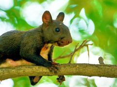 -国家植物园南园