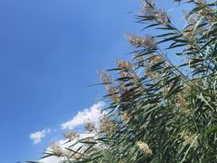 -水洞沟旅游区