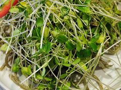-一盏明灯全素斋(殊像寺店)
