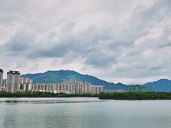 -飞来湖湿地公园