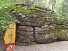 -汤旺河林海奇石景区