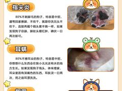 -美联众合动物医院·24h转诊中心