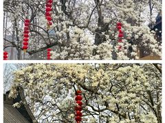 -杭州上天竺法喜讲寺
