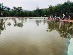 -西部长青自然儿童乐园