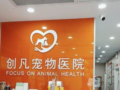 -创凡宠物医院·骨专科  猫科中心(西乡分院)