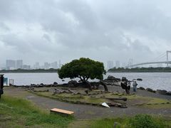 -台场海滨公园船码头