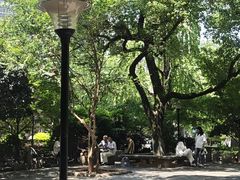 -白沙古井