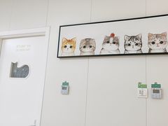 -美联众合动物医院·24h京西诊疗中心