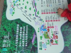 -野象谷景区
