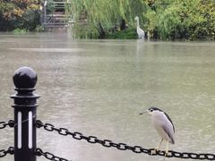 -苏州河梦清园环保主题公园