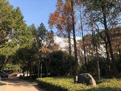 -宝界山林公园