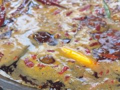 -黄潇洒老火锅(九眼桥宏济巷店)