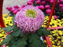 -上海市龙华烈士陵园