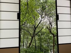 -中国茶叶博物馆(双峰馆区)