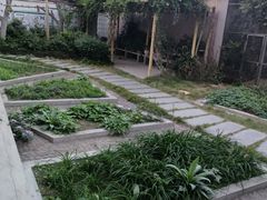 -广州市花都区新华第四小学