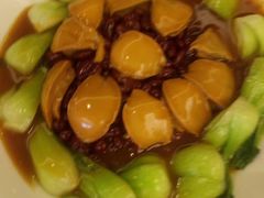 -大班家政月嫂育儿嫂(深圳NO.1店)