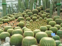 -南山植物园