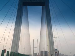 -小李子油焖大虾(南浦店)