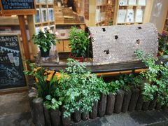 -猫的天空之城概念书店(杭州南宋御街店)