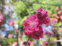 -上海市龙华烈士陵园