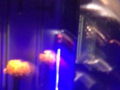 -沐庭影院泰式spa