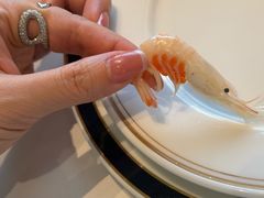 -新荣记(BFC外滩金融中心店)