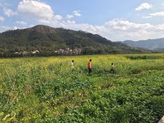 -玉龙寨旅游景区