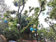-椰椰榴椰子鸡·糟粕醋火锅(兴华南街店)