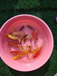 -萌宠亲子动物乐园(槐房万达店)