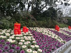 -西湖外事游船(花港观鱼码头)