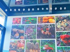 -野菌皇海景野生菌火锅(滨海大道店)