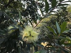 -晓港公园