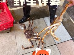 -蚝专家(北滘店)