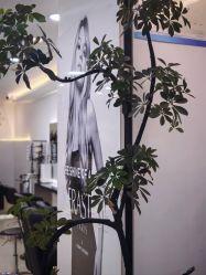 -HaLo hair studio