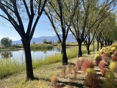 -野鸭湖国家湿地公园