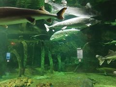 -华夏文旅海洋公园