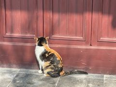 -西园寺素食(西园弄戒幢律寺店)