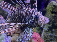 -太平洋海底世界