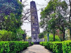 -上海佘山国家森林公园天马山园