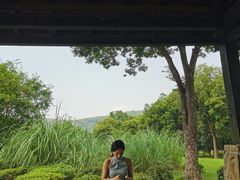 -长广溪湿地公园