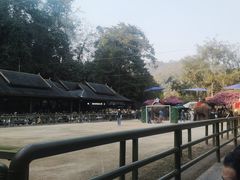 -野象谷景区