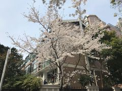 -星巴克(武康路店)