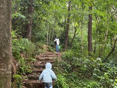 -青龙山国家森林公园