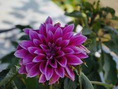 -乌石村