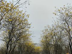 -松山湖风景区松湖烟雨