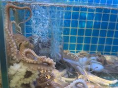 -前王院•巧克力海鲜市集餐厅(万平口店)