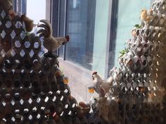 -奇乐奇乐(梅江店)