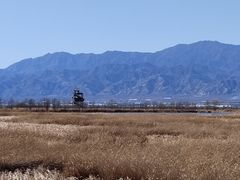 -野鸭湖国家湿地公园