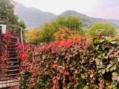 -不止轰趴独栋别墅户外烧烤(颐西庄园店)