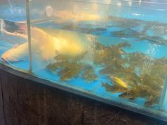 -耕渔小院·湖南鱼鲜(望城店)